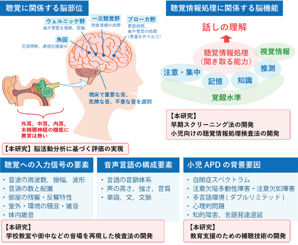 聴覚情報処理障害(APD)に関連する要素と本研究の取り組み